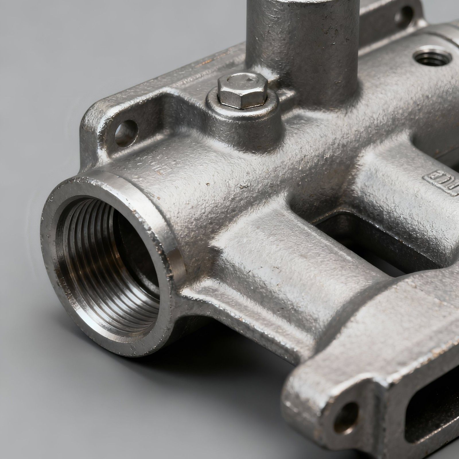 Photo by Lorenzo Herrera